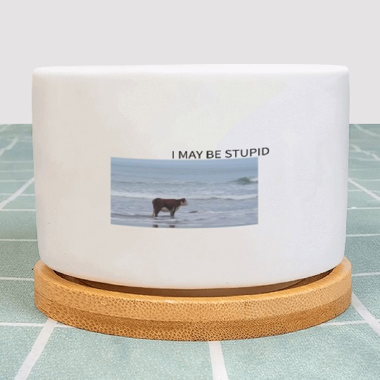 I May Be Stupid Plant Pots