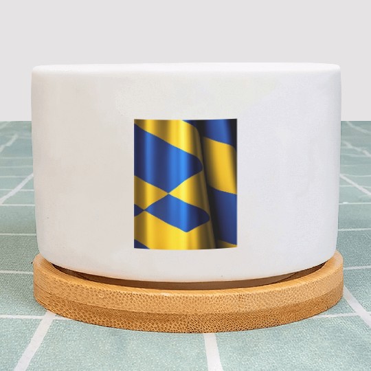 Ukrainian Blue and Yellow Flag: A Tale of National Plant Pots