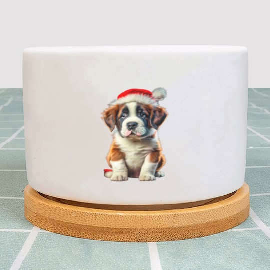 Saint Bernard puppy waiting for Christmas Plant Pots