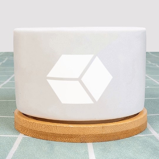 White Hexagon Shape Plant Pots