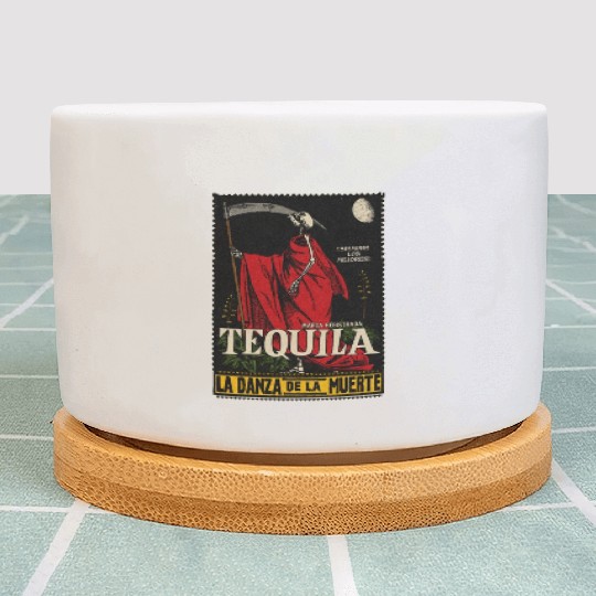 Vintage Mexican Tequila Calavera Plant Pots