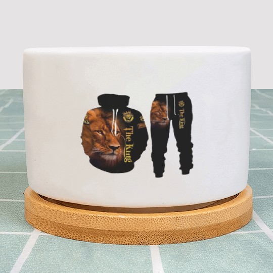 Lion  D83E DD81 ensemble Plant Pots