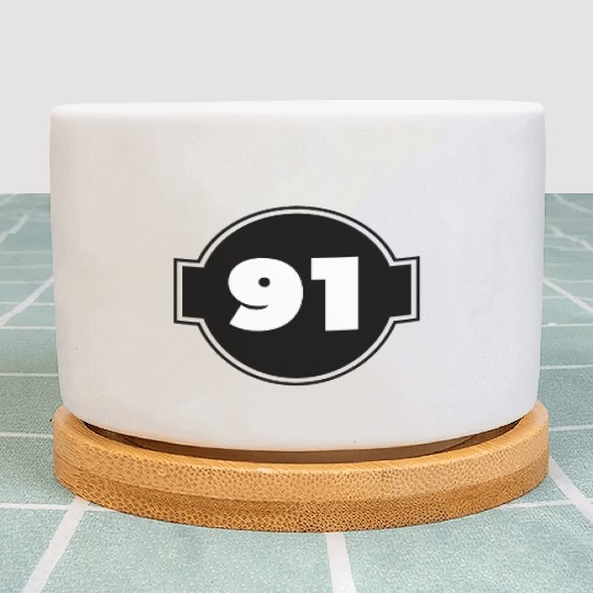 Congratulations Today 91 Years Old - Ninety-Nine Plant Pots