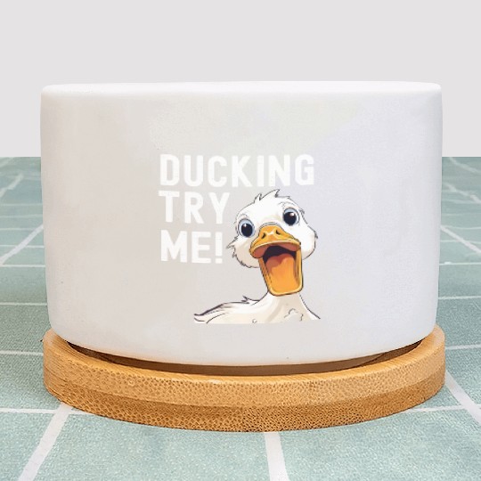 Ducking try me: Sarcastic and Hilarious Ducks Plant Pots