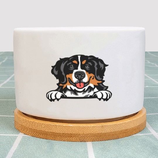 Bernese Mountain Dog Plant Pots