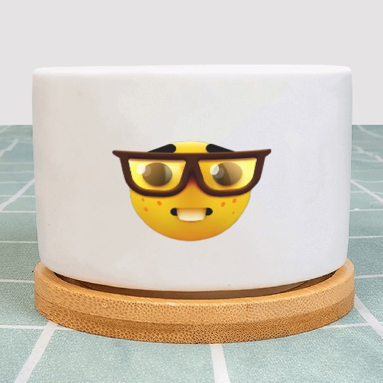 Goofy ahh T Plant Pots