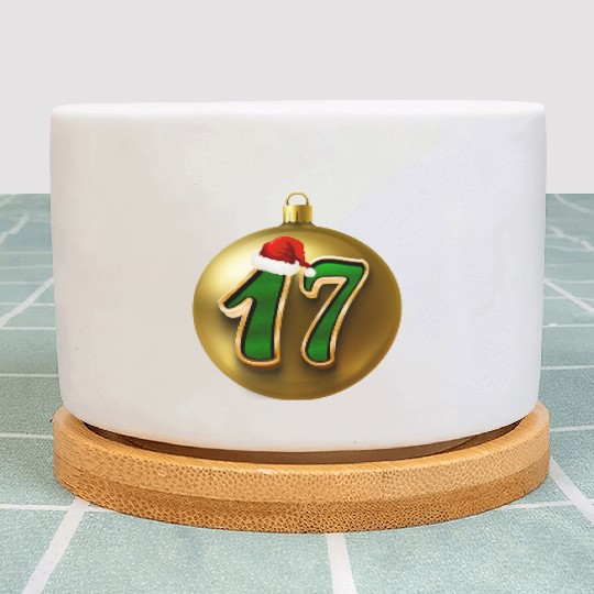 17 Years Young - Seventeen Christmas Balls Plant Pots