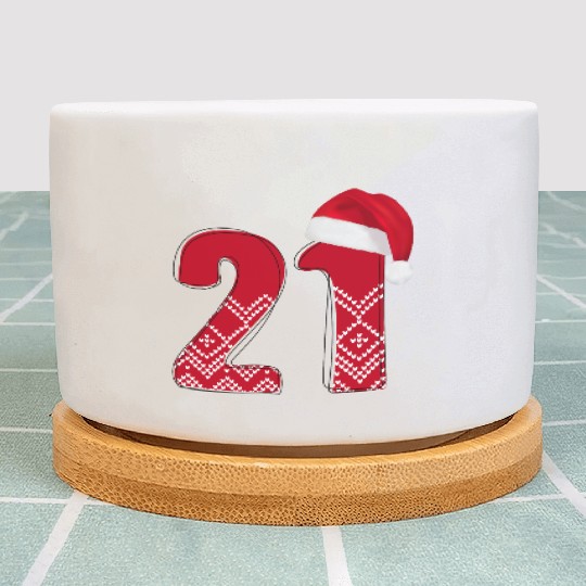 21st Christmas Birthday - Xmas Number Twenty One Plant Pots