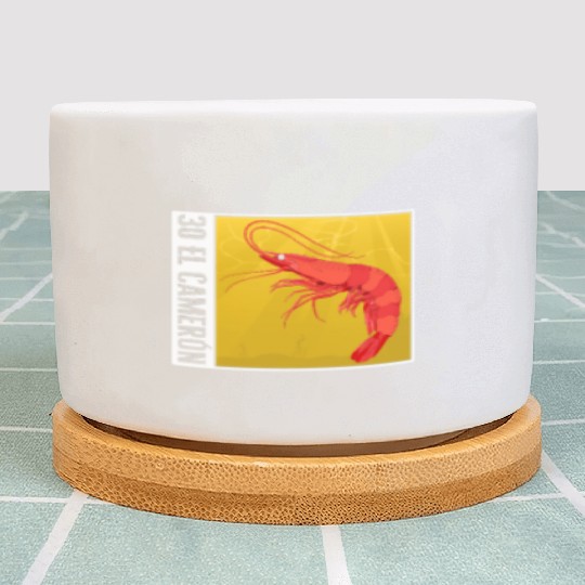 Lottery Plant Pots, El Camaron Plant Pots, Gift For Lottery