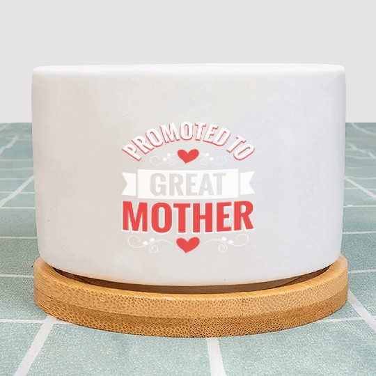 Promoted To Great Mother Family Reunion Plant Pots