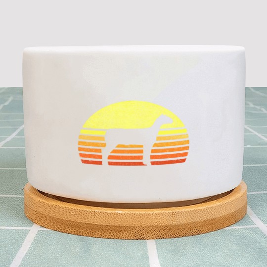 Sheep Livestock Show Future American Lamb Farmer C Plant Pots