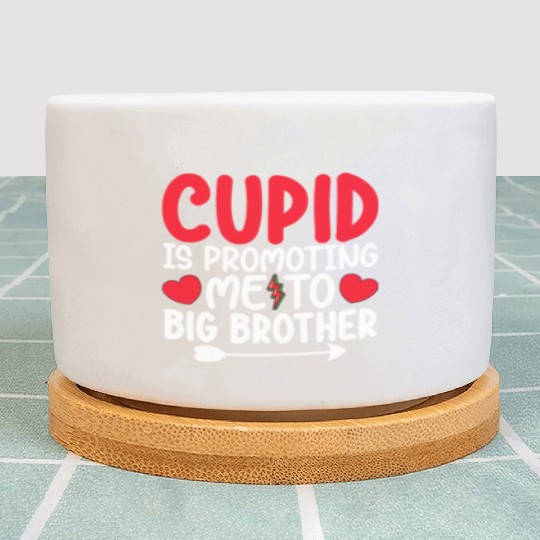 Cupid Is Promoting Me To Big Brother Valentines Plant Pots