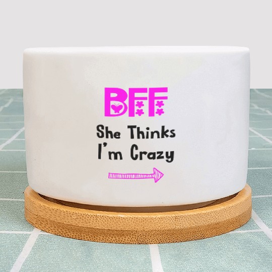 Best Friends Forever for 3 - She Thinks Im Crazy Plant Pots