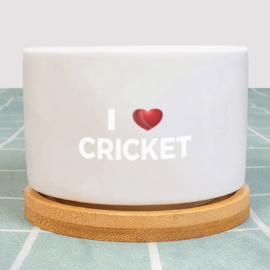 I Love Cricket Plant Pots