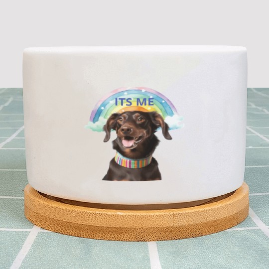 happy dog Plant Pots