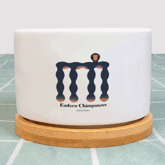 Bold monkey print "Chimpanzee" Plant Pots