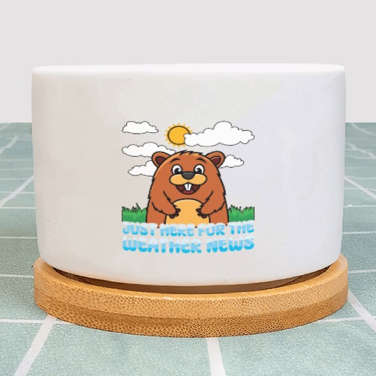 Just Here For The Weather News Happy Groundhog Day Plant Pots