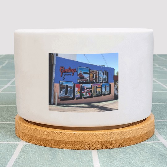 Greetings From San Diego Street Art Plant Pots