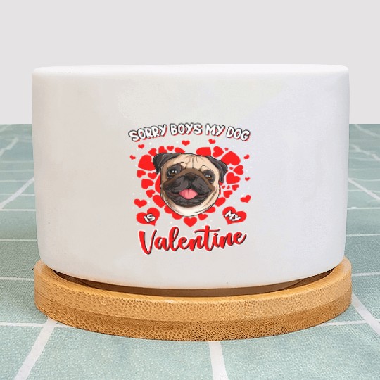 Sorry boys my dog is my valentine Plant Pots