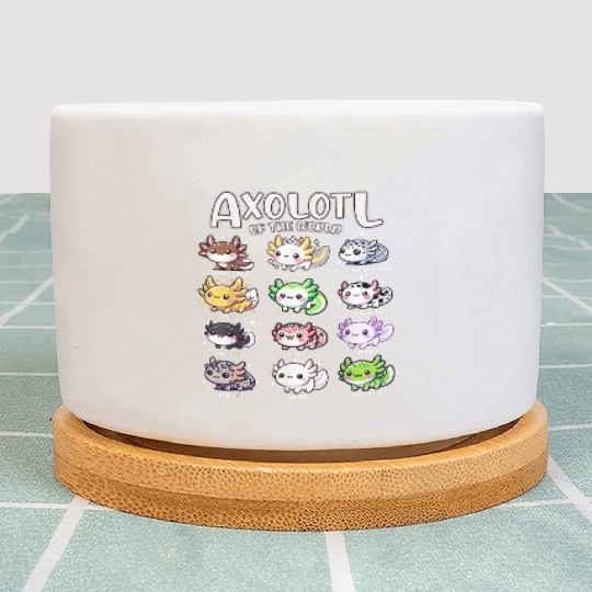 Axolotls Of The World Kawaii Types Of Axolotl Fish Plant Pots