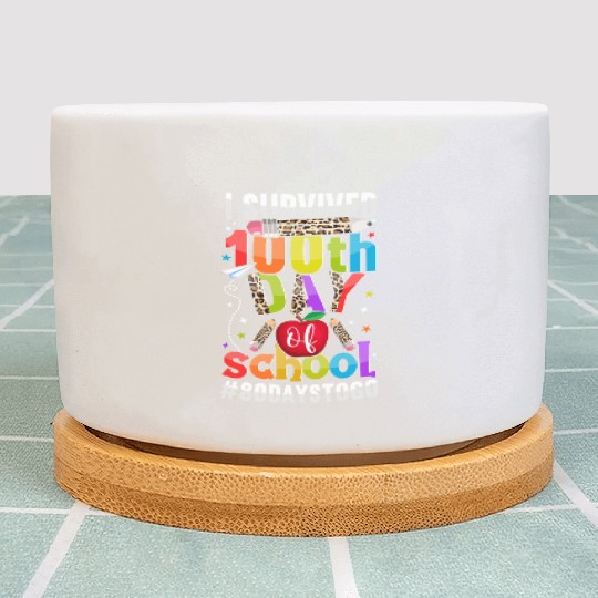 I Survived 100th Day of School 80 To Go Teacher Plant Pots