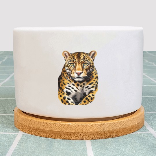 The jaguar Plant Pots