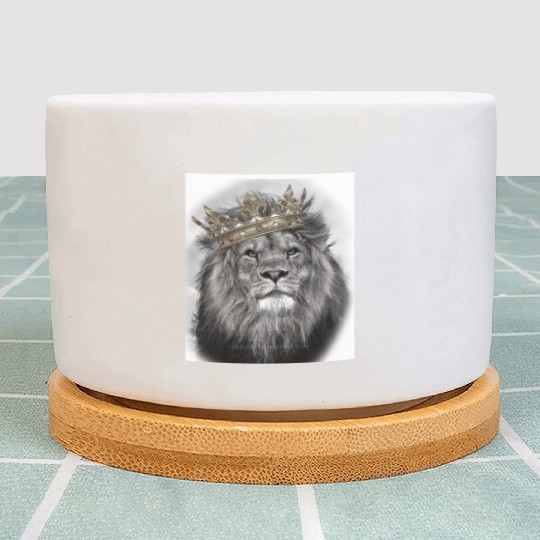 lion king Plant Pots