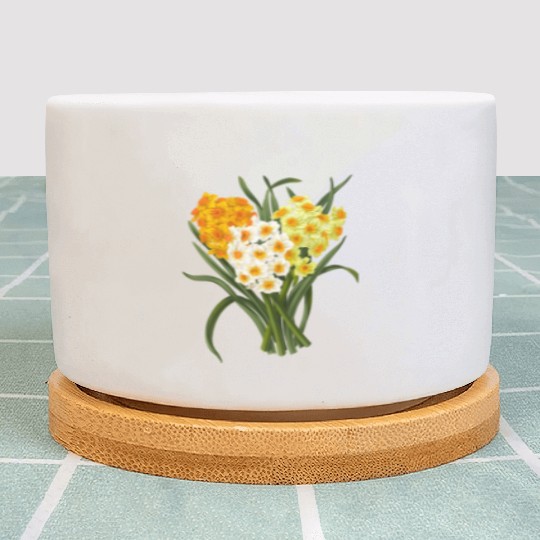 Daffodil Bunch Daffodils He Daffodil Plant Pots
