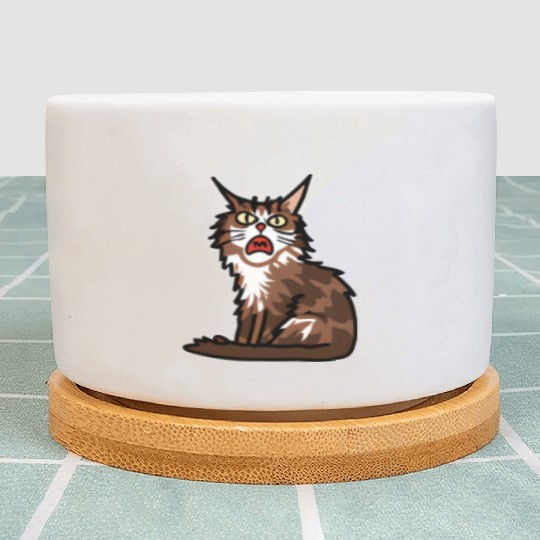Maine Cat - Grumpy or Surprised Expression Plant Pots