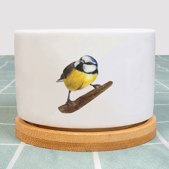 Blue tit titmouse hand painted watercolor. Plant Pots