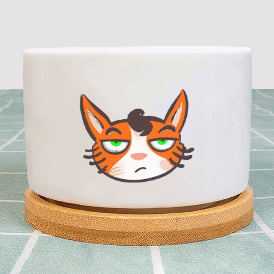 Orange Grumpy Cat Green Eyes Plant Pots