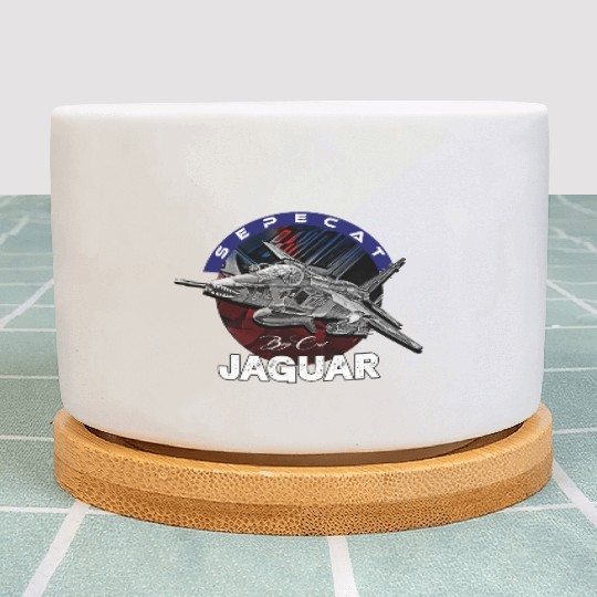 Sepecat Jaguar British-French Fighterjet Military Plant Pots
