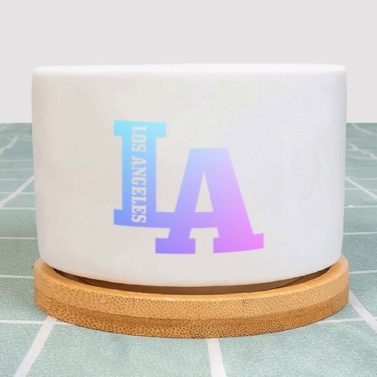 Los Angeles California LA Gift Plant Pots