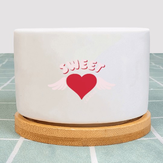 Sweet Valentine Valentine's Day Heart Cupid Wings Plant Pots