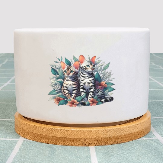 Bengal Kittens Snow Asian Cats Plant Pots