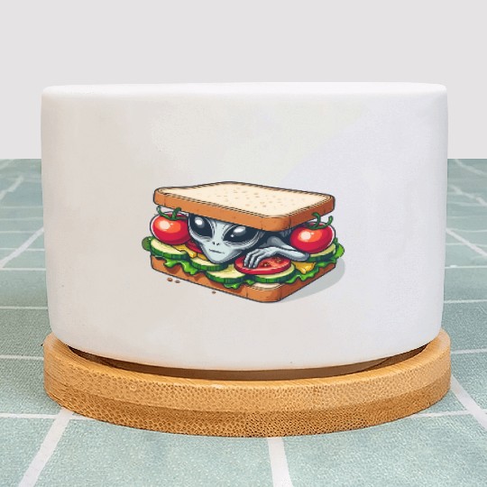 Alien Hiding in a Sandwich Plant Pots