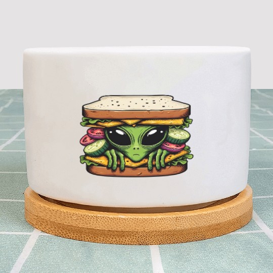 Alien Hiding in a Sandwich Plant Pots