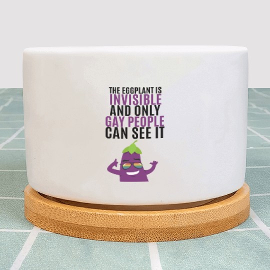 Invisible eggplant Plant Pots for your gay friend