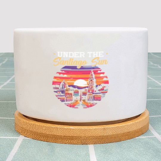 santSantiago De Los Caballeros Dominican Republic Plant Pots