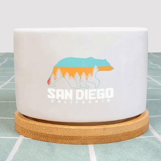 San Diego California Vintage Souvenir Plant Pots
