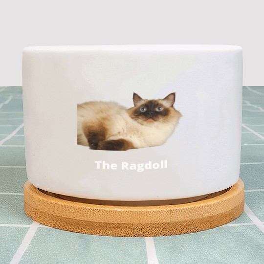 The Ragdoll Cat, Cat Mom, Cat Dad, Pet lover Plant Pots