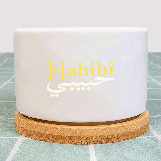 Habibi ("My love" in Arabic and English) Plant Pots