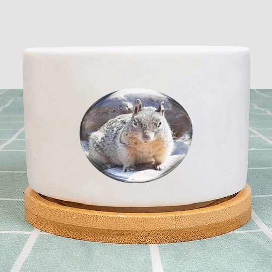 Life In a Bubble Collection- Grand Canyon Squirrel Plant Pots