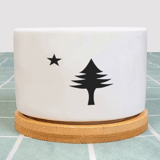 Pine tree and star 1901 flag of Maine State Plant Pots