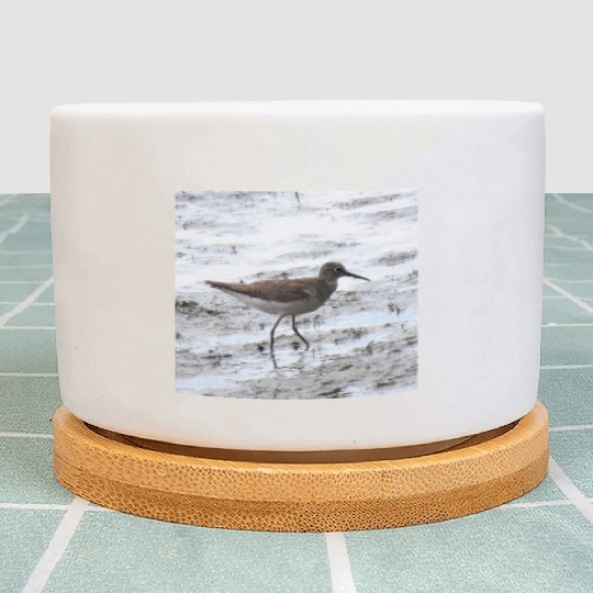 Sandpiper walking along the shore Plant Pots