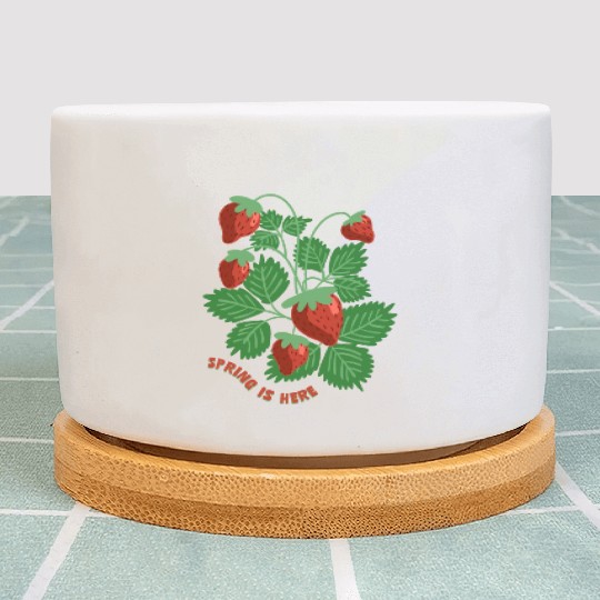 Strawberry Plant Pots