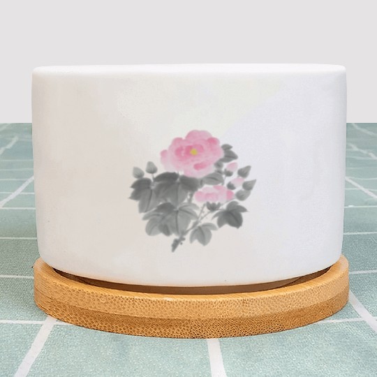 Hibiscus Flowers Plant Pots