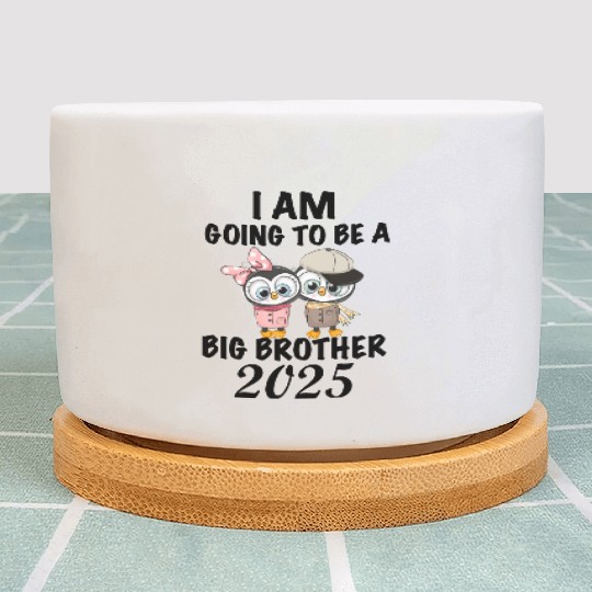Big Brother 2025, 2025 Big Brother Penguin Plant Pots