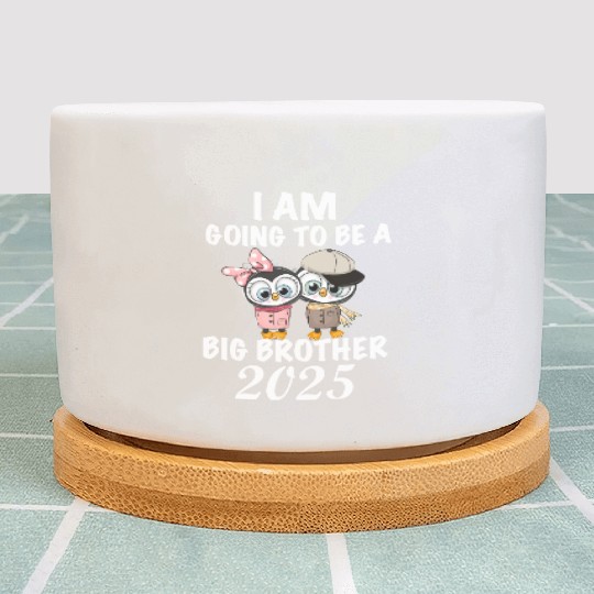Big Brother 2025, 2025 Big Brother Penguin Plant Pots