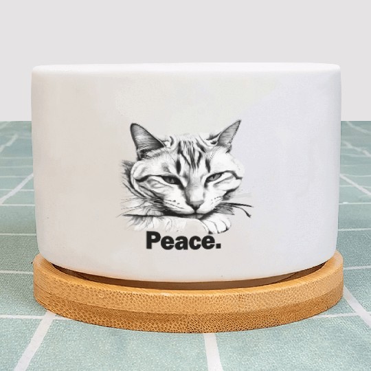 Peaceful Tabby Art Plant Pots